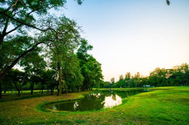 Park göleti gün batımı klorlu gökyüzü silueti ağaç ormanı doğa manzarası