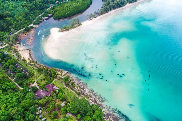 Luftaufnahme Mangrovenwald Fluss Mit Meeresbucht Natur Umwelt Ökologie Konzept — Stockfoto