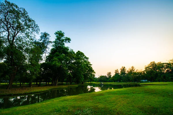 Park Damm Solnedgång Vacker Himmel Silhuett Träd Skog Natur Landskap — Stockfoto