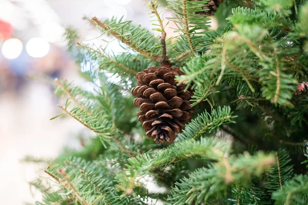 크리스마스 소나무에 Xmas Ornamery — 스톡 사진