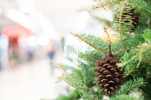 Pine nut decoration on christmas pine tree, Xmas decoration