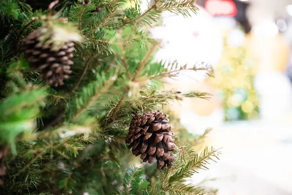 Сосна Прикраса Соснового Горіха Xmas Декор — стокове фото