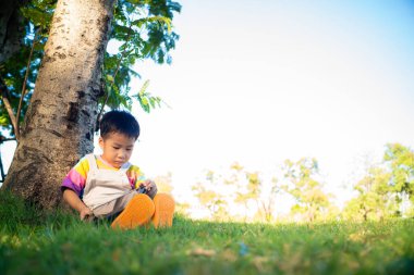Ağaçların altında oturan sevimli Asyalı çocuk parkın gün batımında öğrendiği tablet bilgisayar teknolojisini kullanıyor.