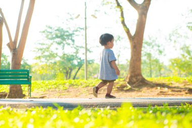 Yeşil çimlerde yürüyen sevimli Asyalı çocuk yaz tatilinde gün batımı ışığı...