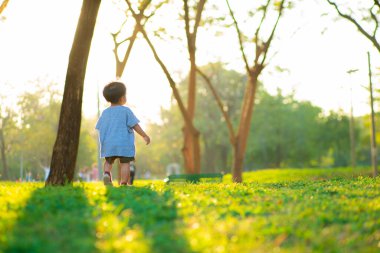 Yeşil çimlerde yürüyen sevimli Asyalı çocuk yaz tatilinde gün batımı ışığı...
