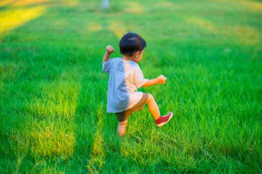 Yeşil çayır gün batımında oynayan sevimli Asyalı çocuk, doğayı öğreniyor.