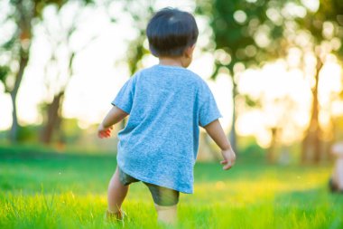 Yeşil çayır gün batımında oynayan sevimli Asyalı çocuk, doğayı öğreniyor.