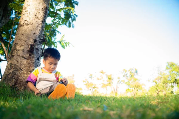 Ağaçların altında oturan sevimli Asyalı çocuk parkın gün batımında öğrendiği tablet bilgisayar teknolojisini kullanıyor.