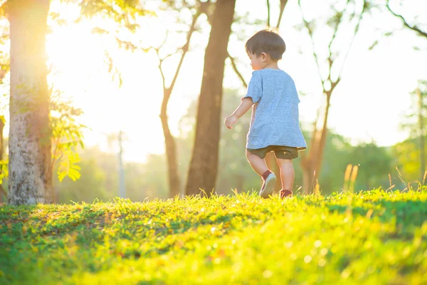 Yeşil çimlerde yürüyen sevimli Asyalı çocuk yaz tatilinde gün batımı ışığı...