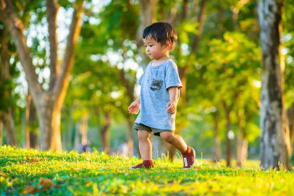 Adorable Asiático Chico Jugando Verde Hierba Pradera Puesta Del Sol — Foto de Stock