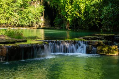 Phangnga Tayland 'da yeşil ağaç manzaralı derin tropikal yağmur ormanlarında şelale.
