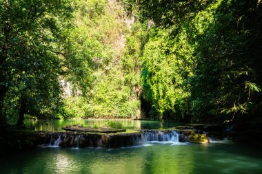 Phangnga Tayland 'da yeşil ağaç manzaralı derin tropikal yağmur ormanlarında şelale.