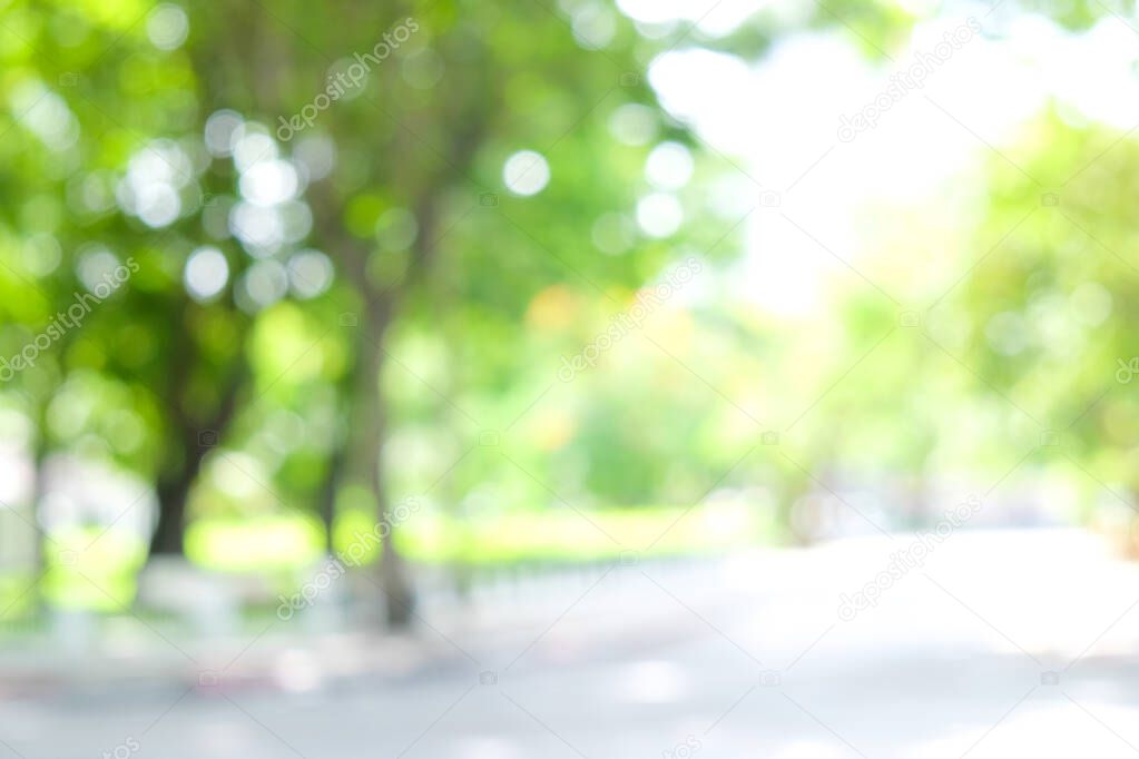 Abstract blurred green tree leaf background with bokeh sun light, Element of design