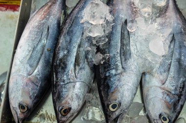 Taze deniz balıkları, Tayland Samutprakhan 'daki yerel balıkçılık pazarında satılıyor.