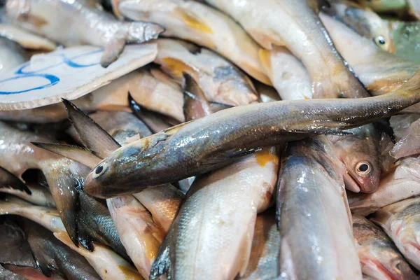 Fresh sea fish sell in local fishery market in Samutprakhan, Thailand