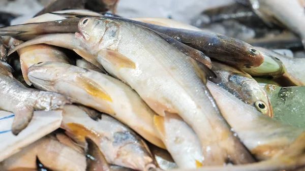 Fresh sea fish sell in local fishery market in Samutprakhan, Thailand