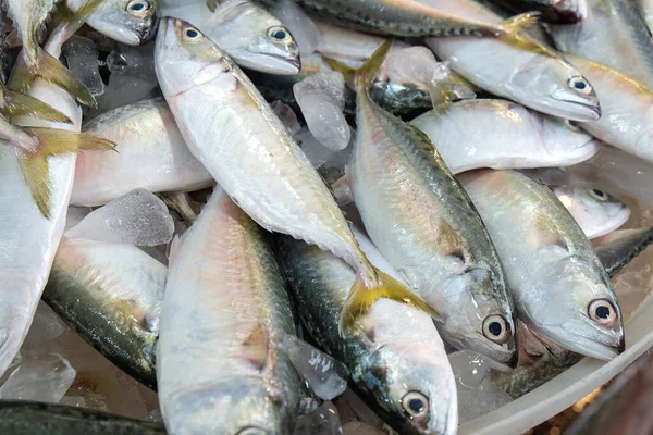 Морскую Рыбу Продают Местном Рыбном Рынке Таиландском Самутхане — стоковое фото
