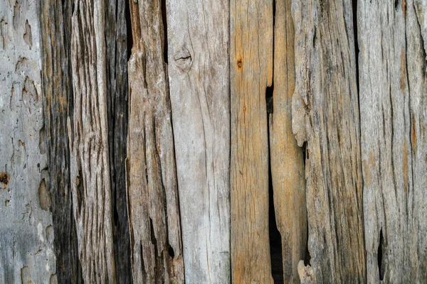 Için Kahverengi Ahşap Kabuk Dokusu Boş Dekorasyon Arkaplanı — Stok fotoğraf