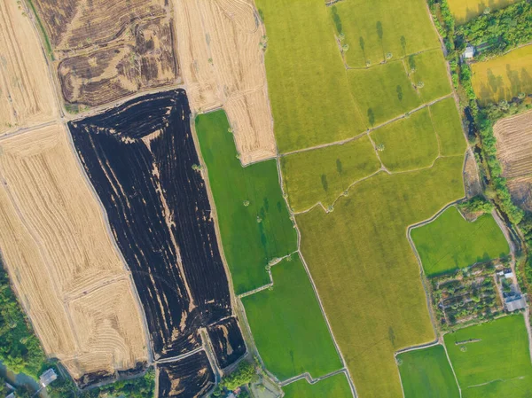 黑烧伤稻田空中景观色彩斑斓 — 图库照片