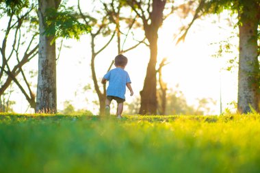 Yeşil çimlerde yürüyen sevimli Asyalı çocuk yaz tatilinde gün batımı ışığı...