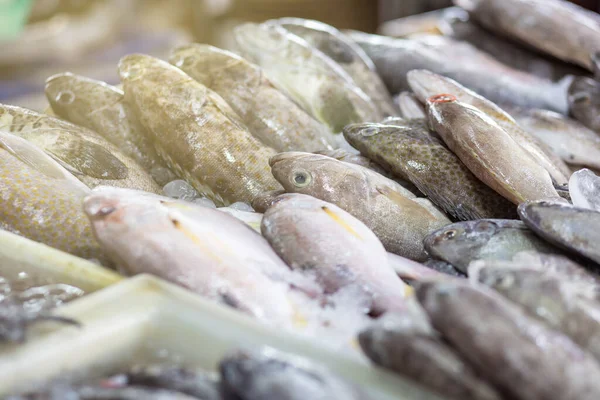 Різні Види Риб Морепродуктів Продають Свіжому Морському Ринку Омега Здорову — стокове фото