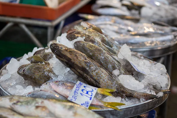 Riesige Zackenbarschfische Verkaufen Auf Dem Fischmarkt Auf Eis — Stockfoto