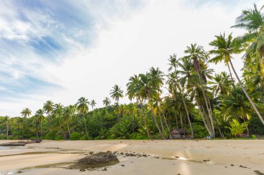 Tropikal deniz sahilinde hindistan cevizi palmiyesi güneş ışığı, Koh Kood Tayland