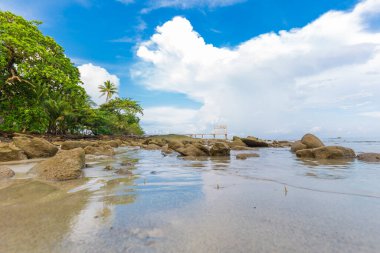 Tropikal deniz sahilinde hindistan cevizi palmiyesi güneş ışığı, Koh Kood Tayland