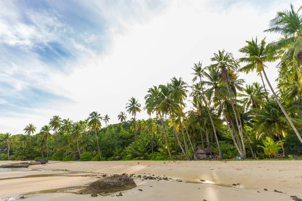 Tropikal Deniz Sahilinde Hindistan Cevizi Palmiyesi Güneş Işığı Koh Kood — Stok fotoğraf