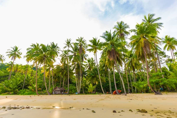 Palmera Coco Playa Tropical Del Mar Luz Del Sol Koh — Foto de Stock