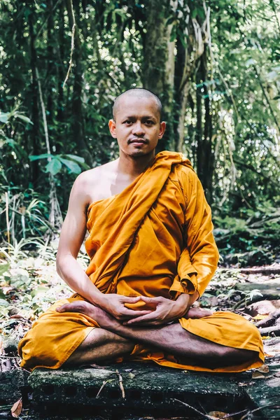 Meditation of buddha monk in deep forest with river, Religion concept