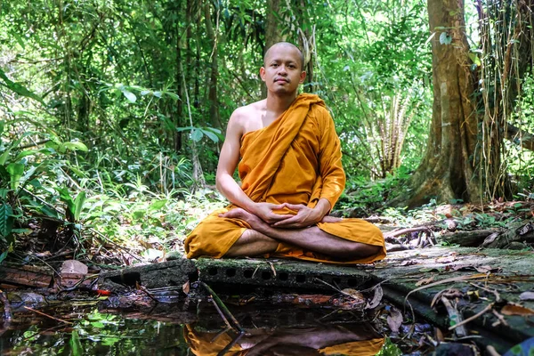 Meditation of buddha monk in deep forest with river, Religion concept