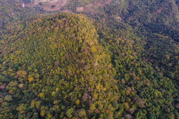 Floresta Árvore Verde Fundo Profundo Natureza Montanha Vista Aérea — Fotografia de Stock