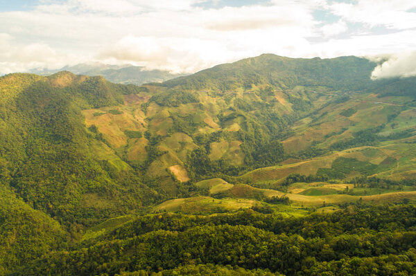Mountain deep green tree forest nature landscape aerial view sunset