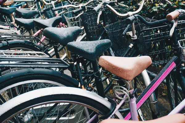 Parking Rowerowy Przy Drodze Miejskiej Grupa Rowerów — Zdjęcie stockowe