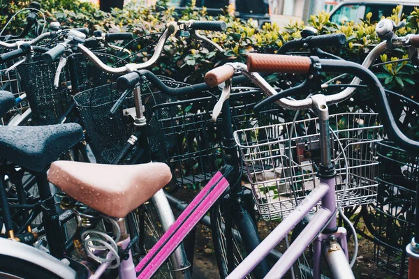 Parking Rowerowy Przy Drodze Miejskiej Grupa Rowerów — Zdjęcie stockowe