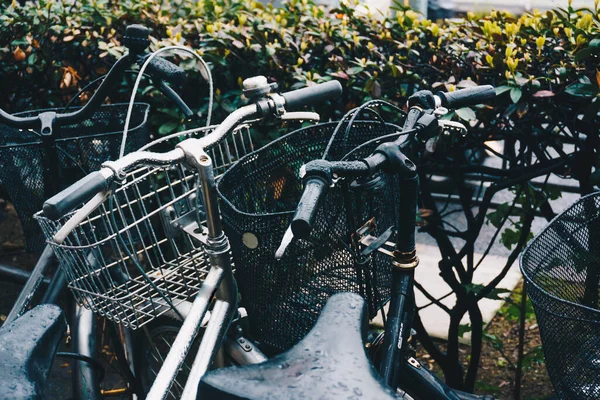 Cykelparkering Vid Stadsväg Grupp Cykel — Stockfoto