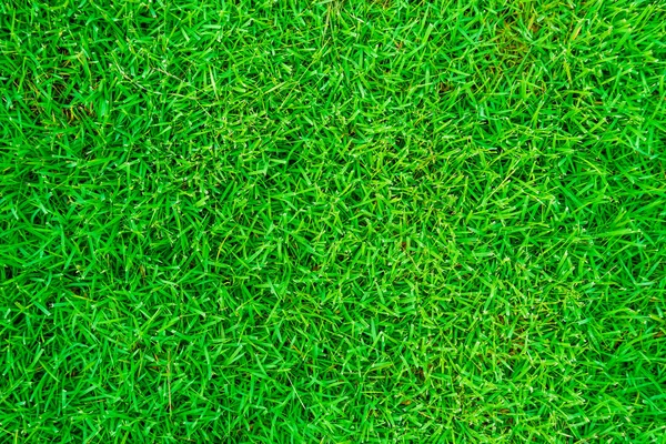 Зеленый Рисунок Травы Вид Сверху Текстура Абстрактный Фон — стоковое фото