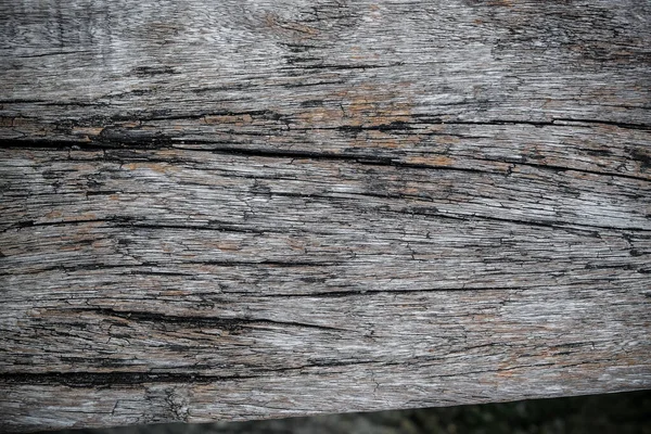 목재로 질감으로 의나무 무늬가 — 스톡 사진