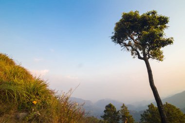 Dağ sırtında gün batımında gezinti rotası