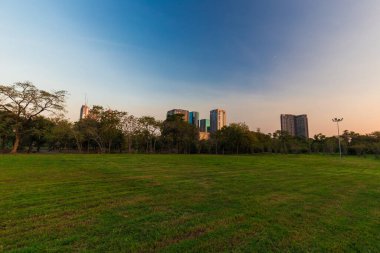 Açık yeşil park mavi gökyüzü çayır tarlasında gün batımı