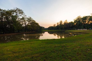 Açık yeşil park mavi gökyüzü çayır tarlasında gün batımı