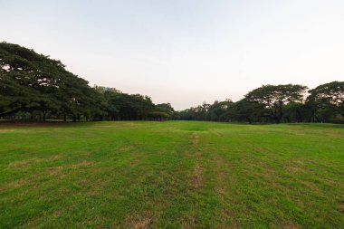 Açık yeşil park mavi gökyüzü çayır tarlasında gün batımı