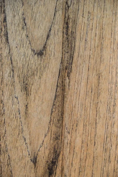 Bark Wood Texture Background Close — Stock Photo, Image