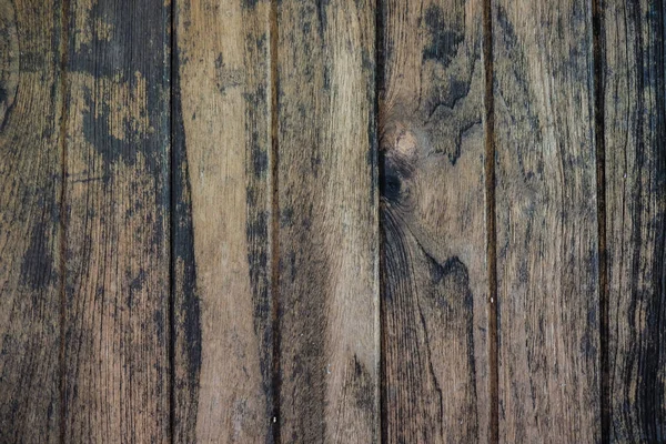 Bark Textura Madeira Fundo Close — Fotografia de Stock