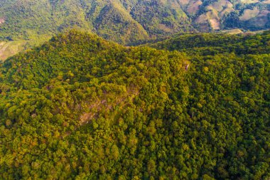 Dağların derinliklerindeki yeşil ağaç ormanı arka plan hava manzarası