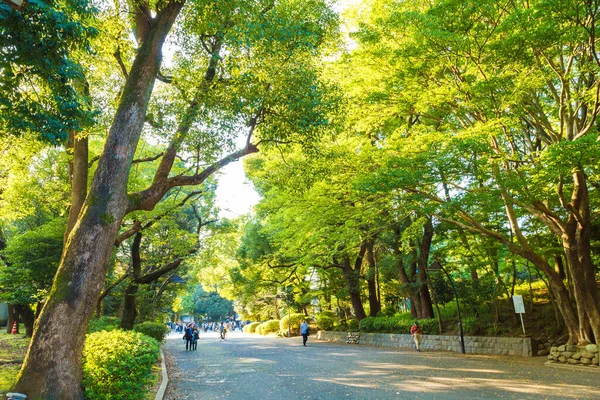 Park Miejski Ueno Tokio Japonia — Zdjęcie stockowe