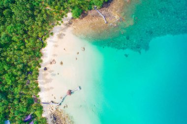 Turkuaz deniz suyu ve ada yeşil tropikal orman havası manzarası.