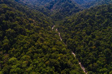 Derin tropikal yağmur ormanlarında yeşil ağaçlı hava manzaralı şelale