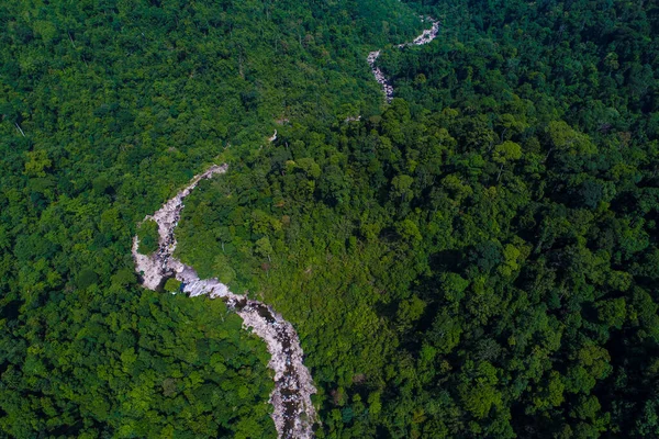 Derin Tropikal Yağmur Ormanlarında Yeşil Ağaçlı Hava Manzaralı Şelale — Stok fotoğraf
